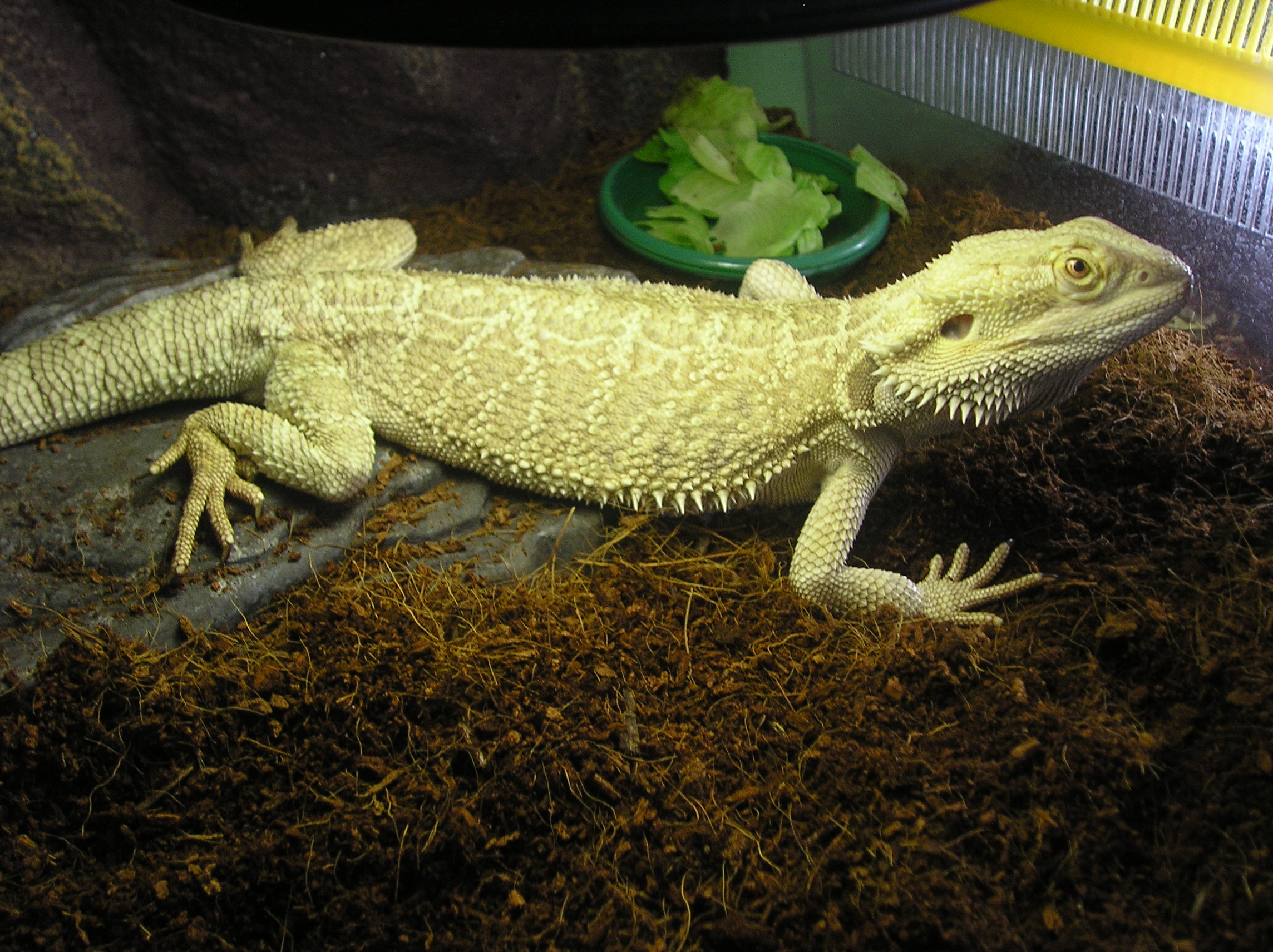 P1010035